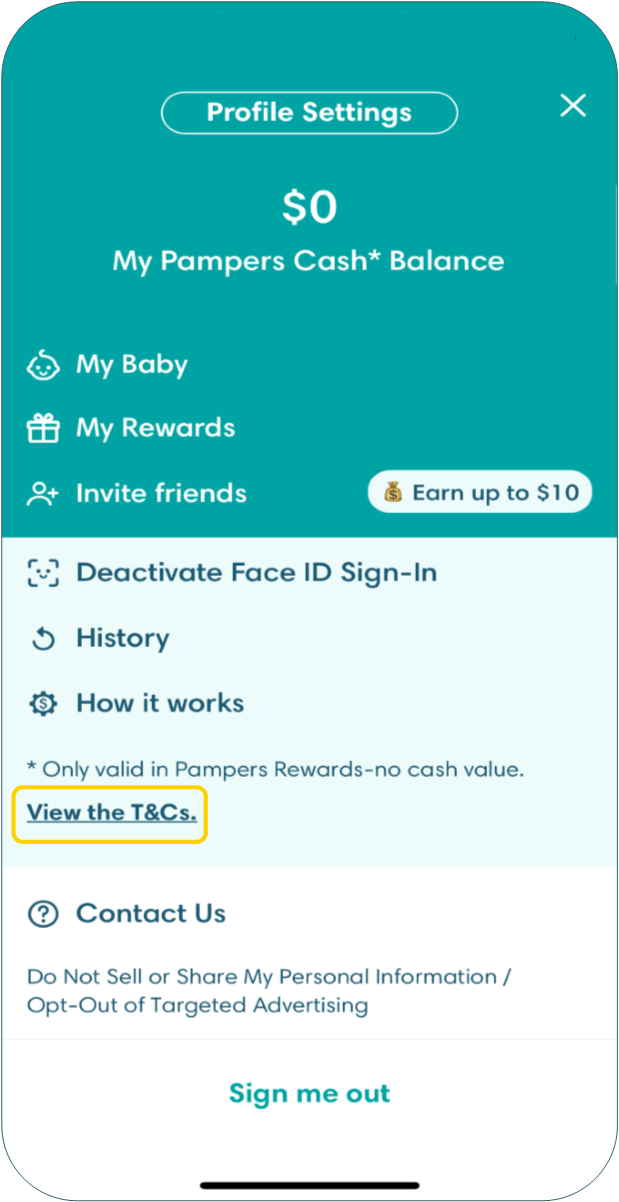T&Cs.png